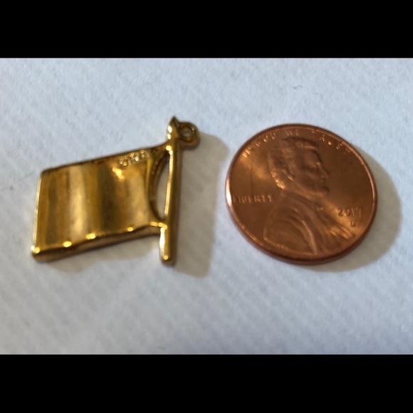 💙💛🤍💚❤️ Order of the Eastern Star Flag Charm 💙💛🤍💚❤️ RARE - Picture 5 of 5